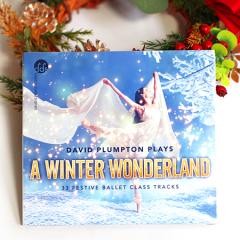 DPCD　A WINTER WONDERLAND