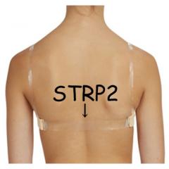 STRP2　透明ストラップ　背中用