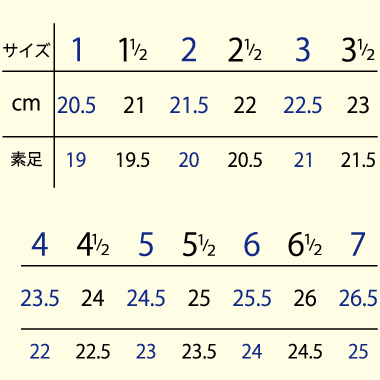 NV2007　ノービス2007