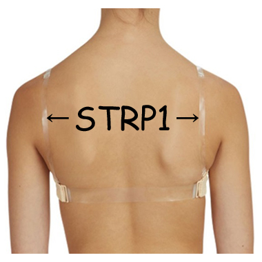 STRP1　透明ストラップ　肩用